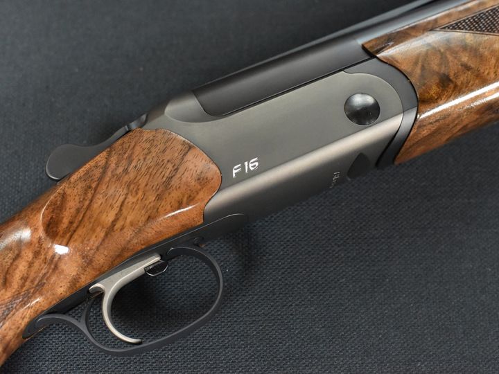 Blaser F16 Game Intuition
