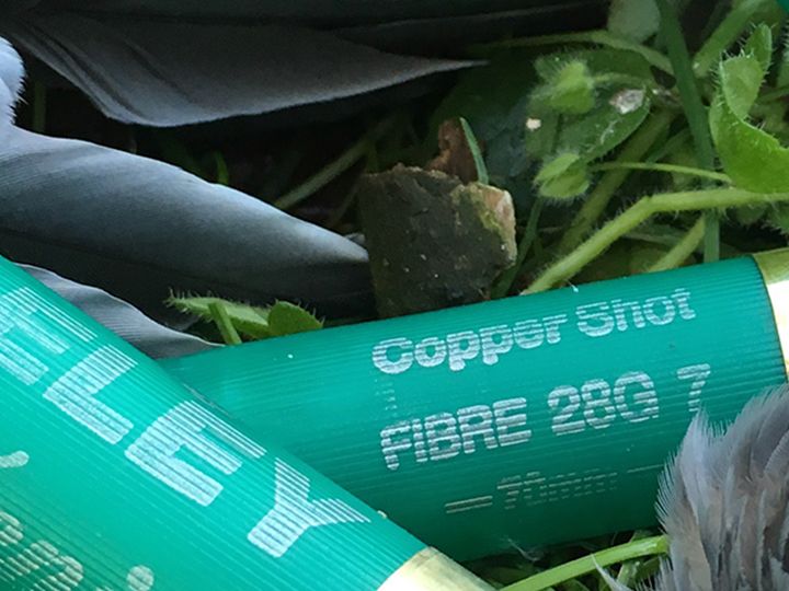 THE CARTRIDGE FOR PARTRIDGE!