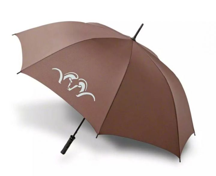 Blaser Umbrella