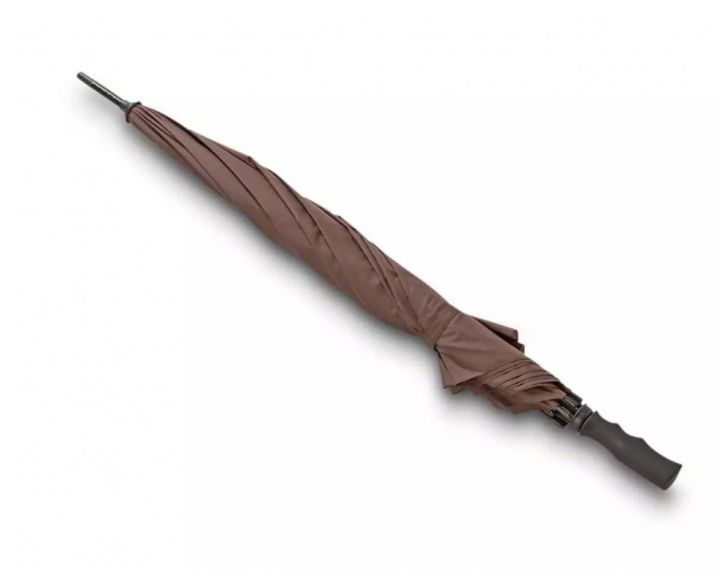 Blaser Umbrella