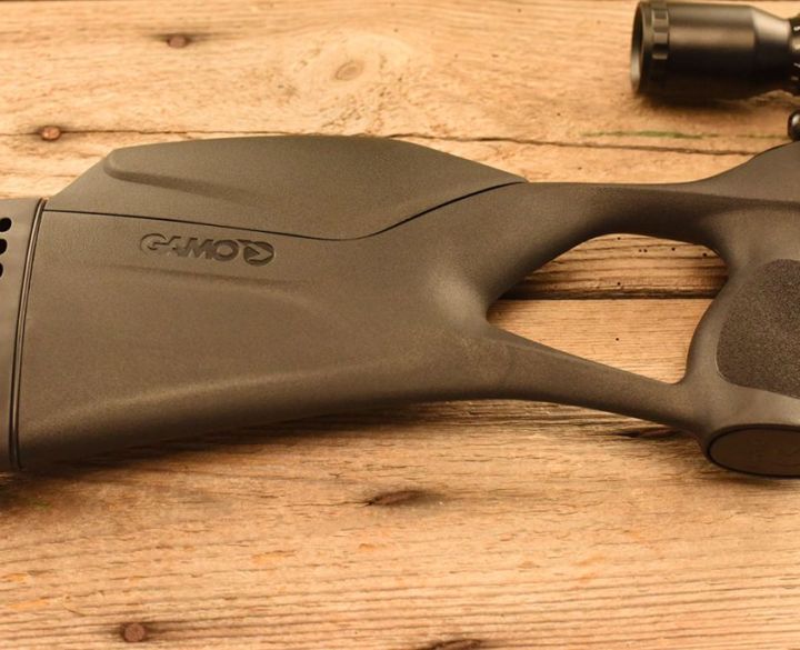 Gamo Phox .22-6