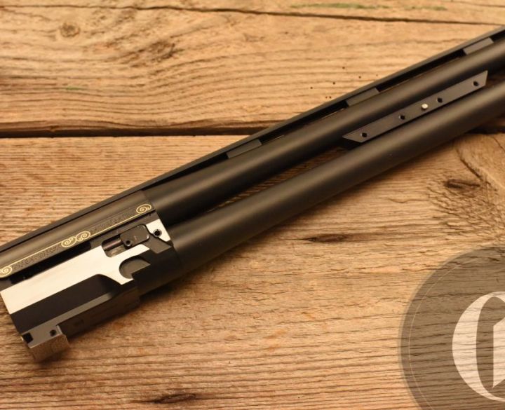 Blaser F3 CUSTOM 20 gauge-0