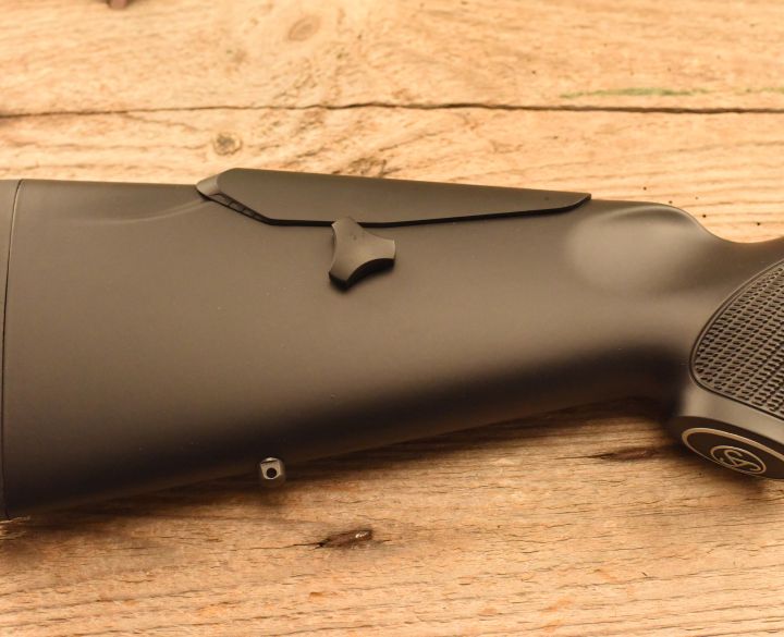 Sauer 100 XTA Stainless .243-1