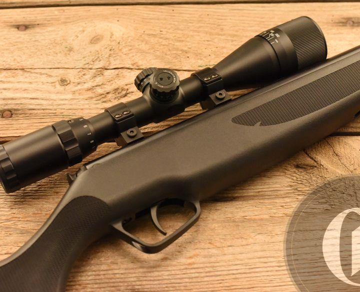 Stoeger RX20 S2 Combo Synthetic .22-0