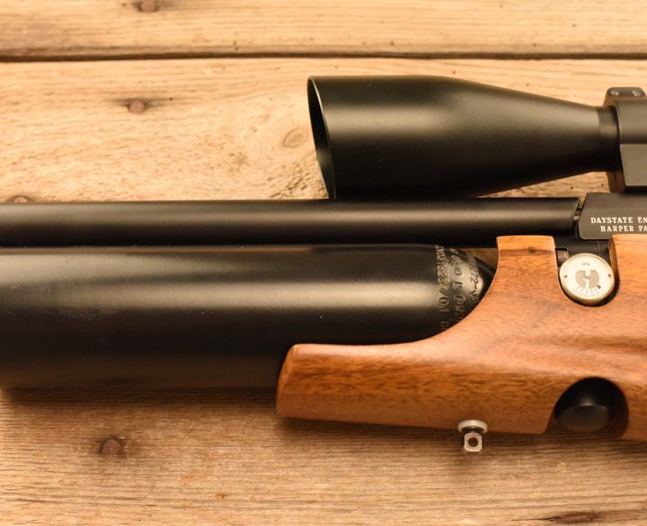 Daystate Air Wolf .22-5