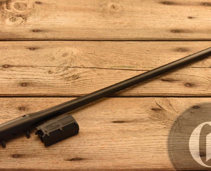 Blaser R8 .204 Ruger-0