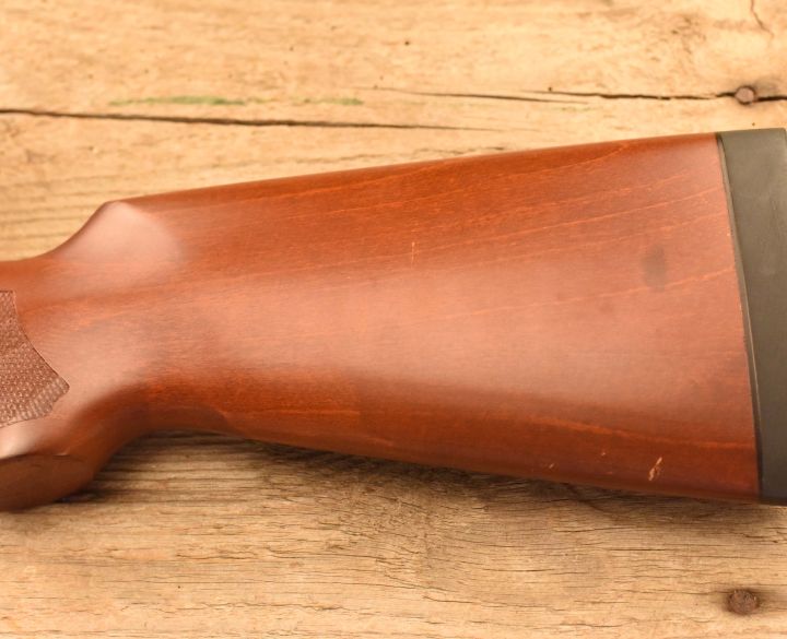 Remington Express .177-5