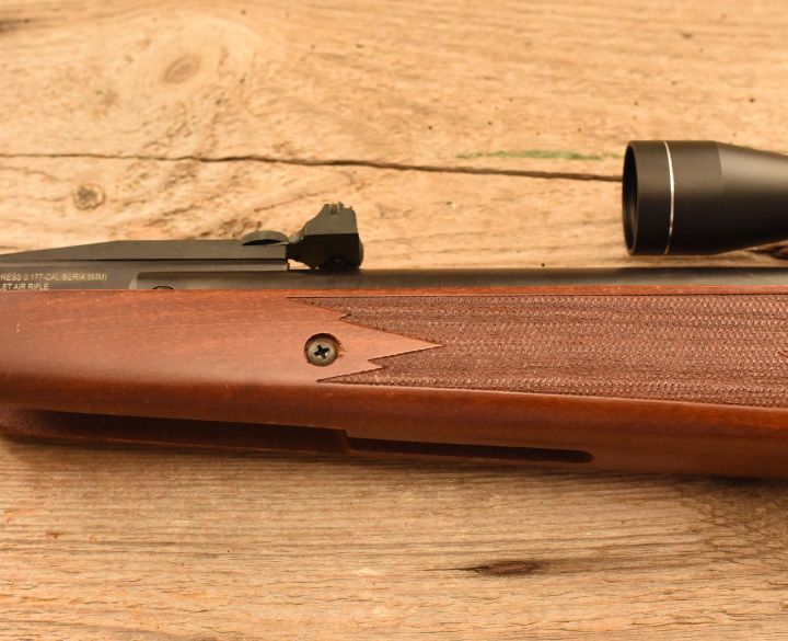 Remington Express .177-5