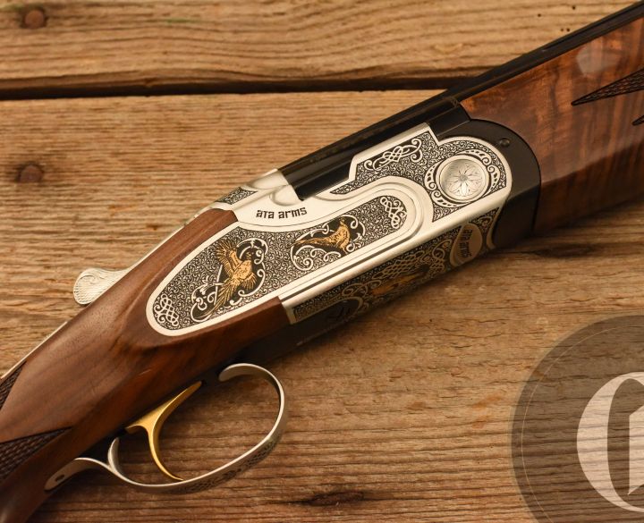 ATA SP elegant 12 gauge-1