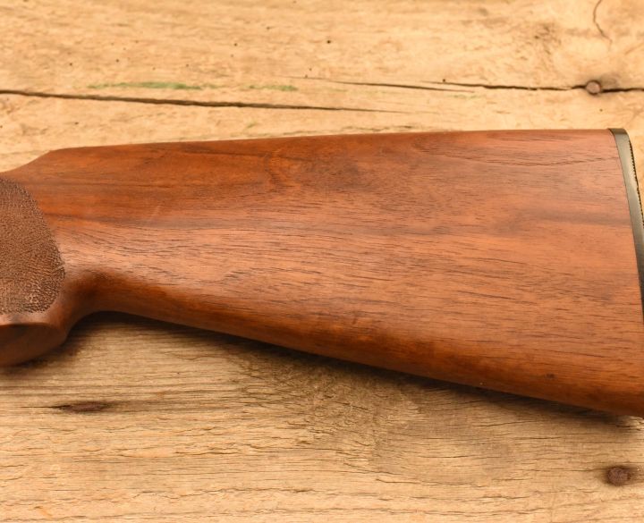 Baikal Unknown 12 gauge-4