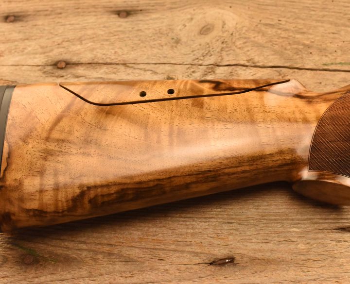 Blaser Fbx 12 gauge-1