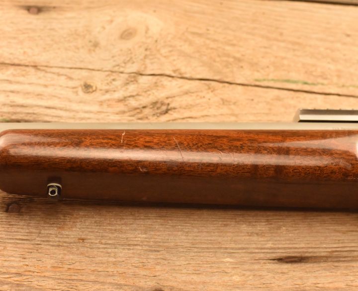 Dakota Arms Predator .223-2