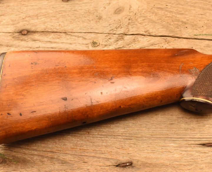 Baikal Unknown 12 gauge-1