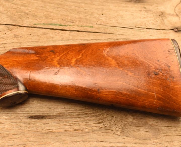 Baikal Unknown 12 gauge-4