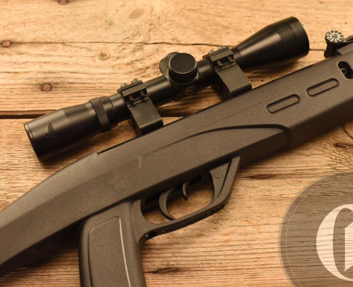 Gamo Delta Fox GT Whisper .177-0