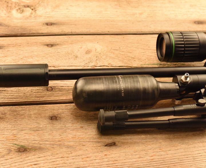 FX Dreamline Tactical .22-5