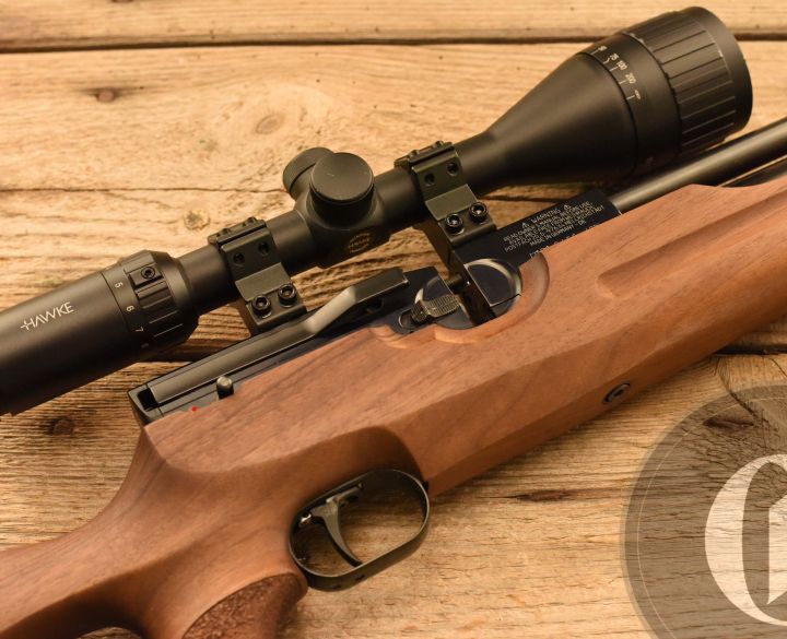 Weihrauch HW 100 Carbine Thumbhole Walnut .22-0