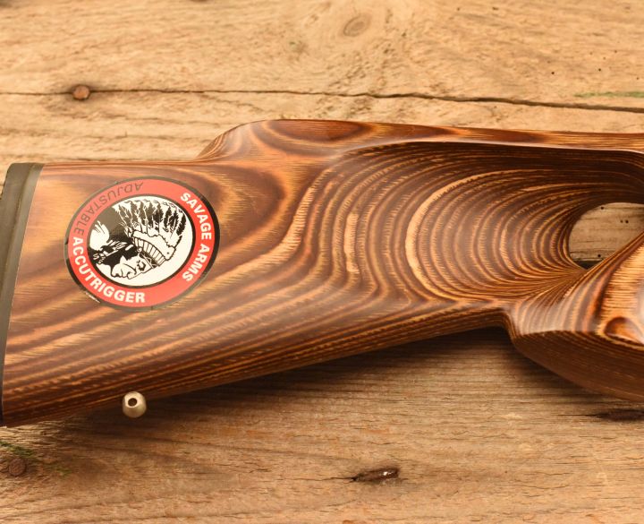 Savage Arms Model 93R17 .17 HMR-1