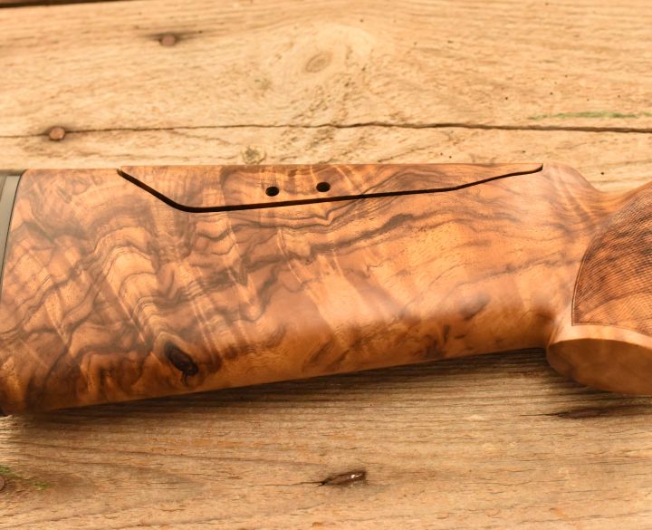 Blaser Fbx 12 gauge-1