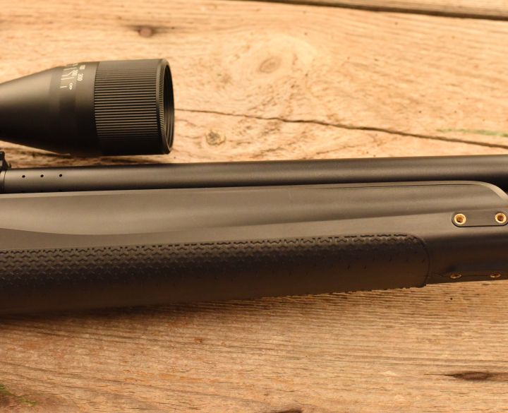 Stoeger Xm1 Scout .22-2