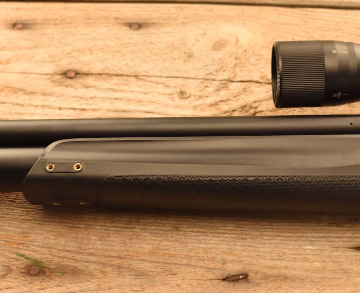 Stoeger Xm1 Scout .22-5