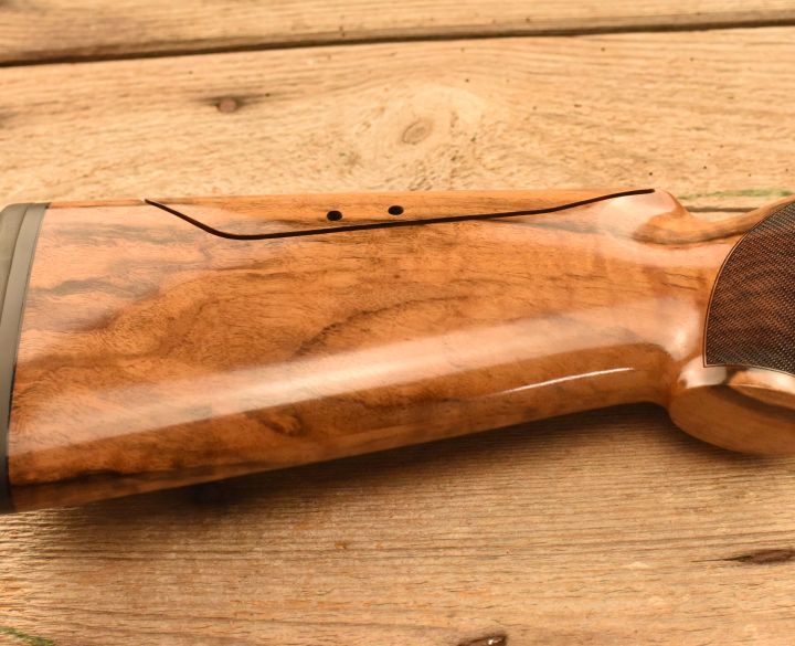 Blaser Fbx Stealth 12 gauge-1