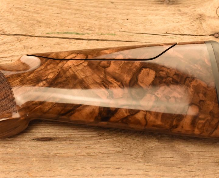 Blaser Fbx Stealth 12 gauge-4