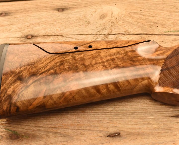 Blaser Fbx Stealth 12 gauge-1