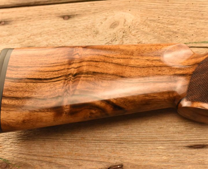 Blaser Fbx Acanthus 12 gauge-1