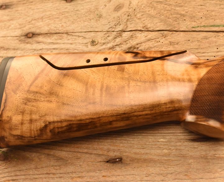 Blaser Fbx 12 gauge-1