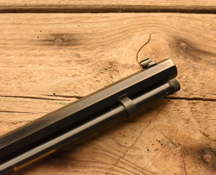 Henry Repeating Arms Golden Boy .22 WMR-3