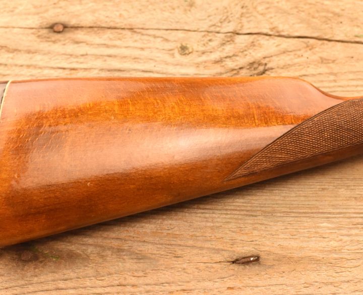 Baikal Unknown 12 gauge-1