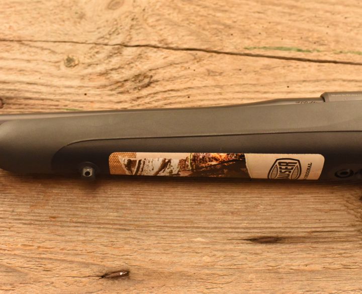 Mauser M18 .223-2