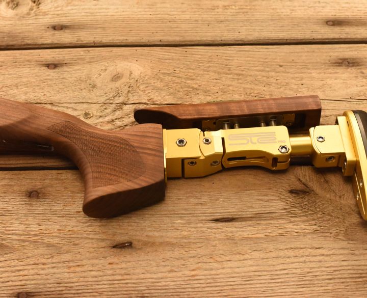 ste Invictus 12 gauge-4