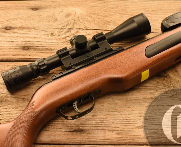 Gamo MAXXIM ELITE SWARM .177-0