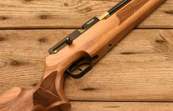 FX T12 Walnut .22