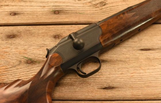 Blaser R93 9.3x62
