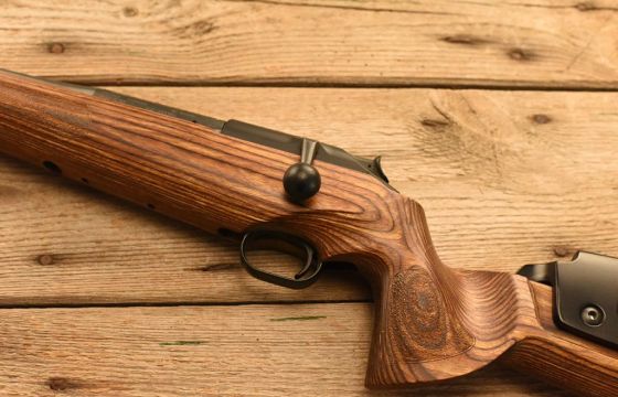 Blaser R93 .243