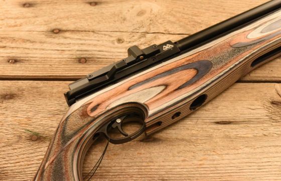Air Arms S510 Ultimate Sporter Carbine .177