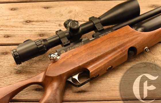 Daystate Air Wolf .22