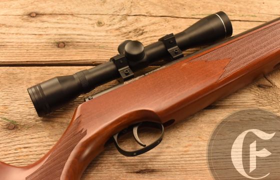 Remington Express .177