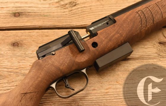 FX Drs Classic .22