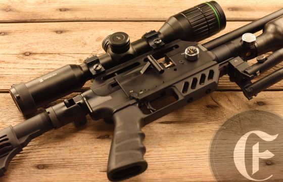 FX Dreamline Tactical .22