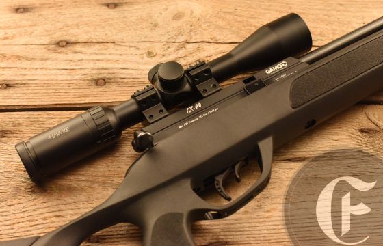 Gamo GX40 .22