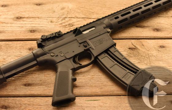 Smith & Wesson M&P 15-22 .22 LR