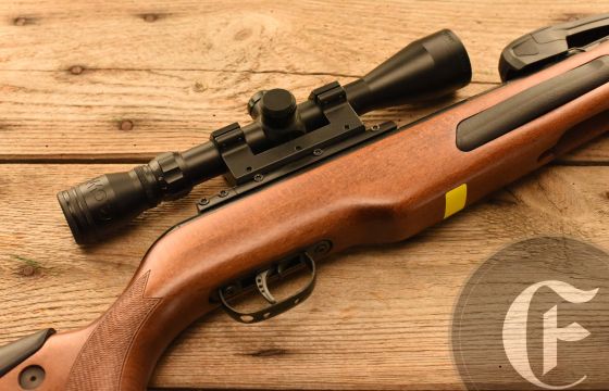 Gamo MAXXIM ELITE SWARM .177